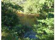 1 We Riverside Dr, Irons, MI