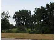 6243 GOLFRIDGE, EAST LANSING, MI