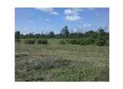 373 E HOLT RD, WILLIAMSTON, MI