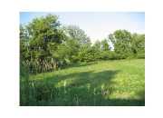 STRANGE - 16 ACRES, MULLIKEN, MI