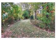 3860 WINSOME WAY, DEWITT, MI