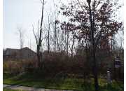 2091 ARBOR MEADOWS, DEWITT, MI