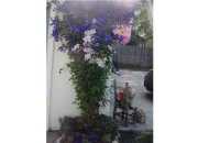 2046 W JOLLY RD, LANSING, MI