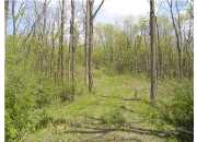 OTTO RD, CHARLOTTE, MI