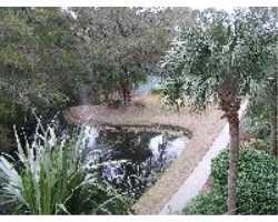 Property at 10 South Forest Beach Drive