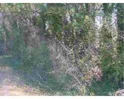 Property at Lot 12 Rutherford Road