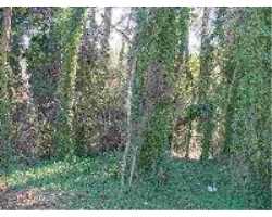 Property at Lot 11 Rutherford Road