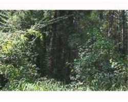 Property at 0 W Spring Lake Dr