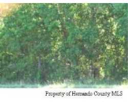 Property at 12172 / 76 PONCE DE LEON BLVD