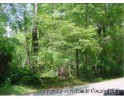 Property at 9039 CARTER ROAD