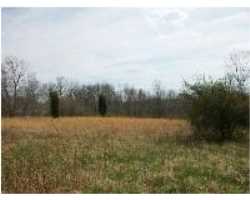 Property at 1555 MAPLE GROVE RD