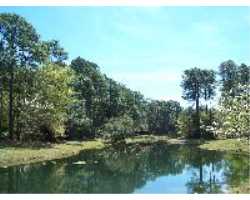 Property at 7 Redstart Path