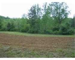 Property at 859 Beaver Dam Road