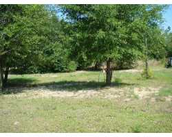 Property at 5619 DUDLEY ROAD