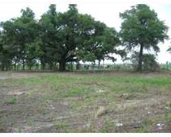 Property at 0 County Farm Rd