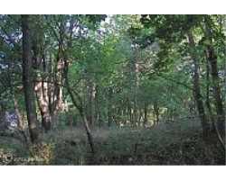 Property at LONGVIEW DR