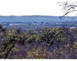 Property at 297 Mira Vista
