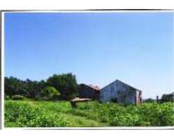 Property at 815 Obst Rd