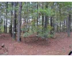 Property at 127 Mandarina Way