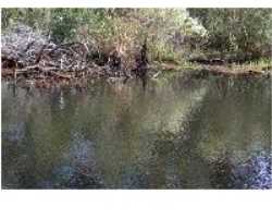 Property at 1254 LA PAZ ST