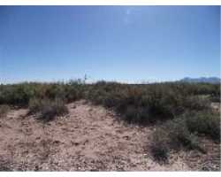 Property at DR Unit 113