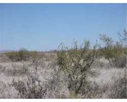 Property at DR Unit 91