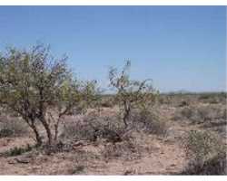 Property at DR Unit 15