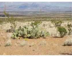 Property at DR Unit 9