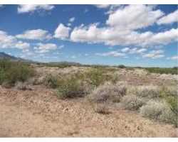 Property at DR Unit 117