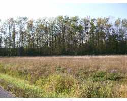 Property at 4719 Mapleton Rd / Vacant Land
