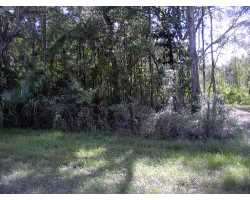Property at 19582 and 19584 Phillips Road