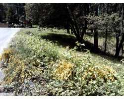 Property at 5653 Piute Court