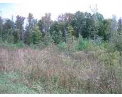 Property at 0 Pettijohn