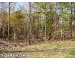 Property at 118 Lafitte Dr