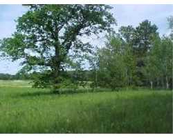 Property at XXX Cloverdale Rd