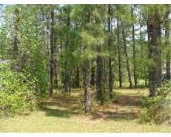 Property at 1806 Caracara Drive