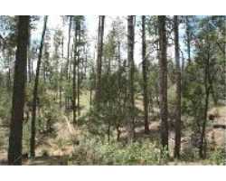 Property at Parcel B Fossil Creek Road