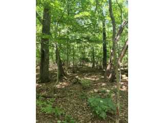 Property at V/L Chippewa Drive
