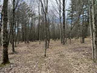 Property at V/L Cottonwood Ave