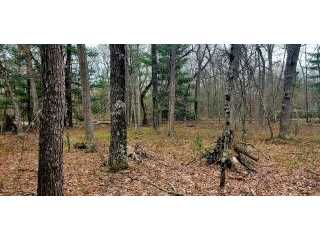 Property at Oakwood Boulevard