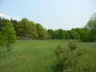 Property at 4425 W Buchanan Road