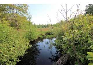 Property at Baseline Road