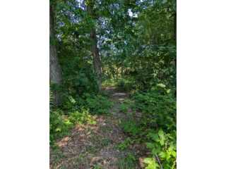 Property at 1389 W Long Lake Road