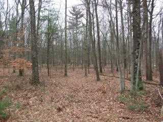 Property at W River Road