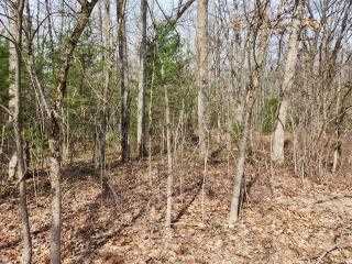Property at 9125 N Bingham Avenue