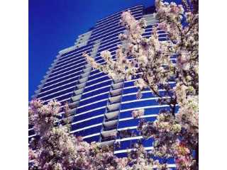 Property at 335 Bridge Street NW