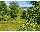 Search Real Estate and Homes for Sale like Lot 2 Old Channel Trail