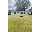 Search Real Estate and Homes for Sale like 9055 E Baseline Road