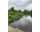 Search Real Estate and Homes for Sale like 61 Ottawa Street